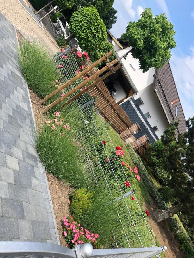 Ferienhaus Gluecksmoment Blankenburg  Exterior foto